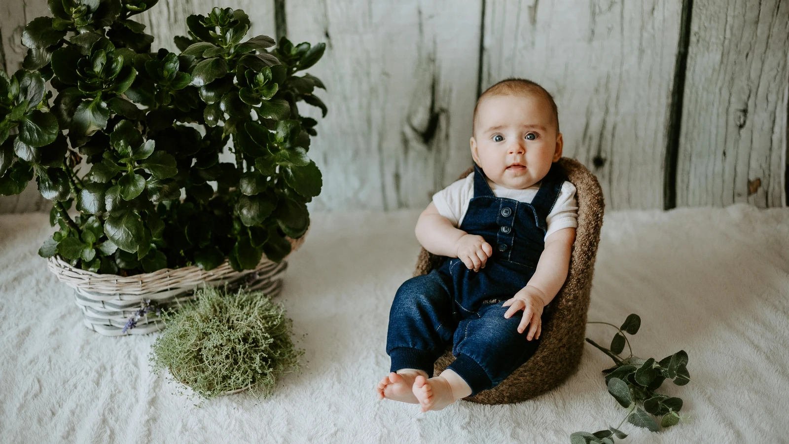 180+ Baby Boy Name Inspirations Starting with F