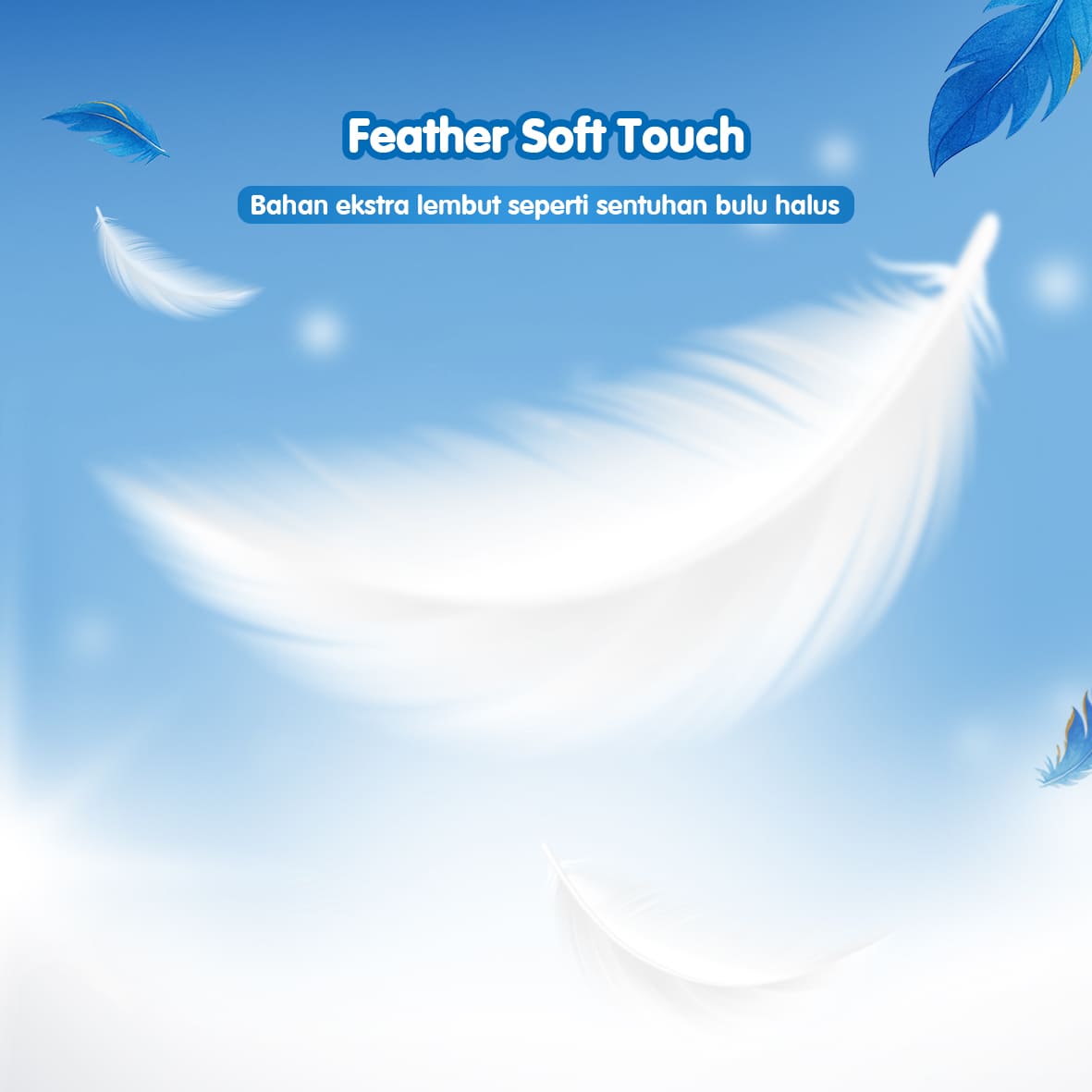 Feather Soft Touch