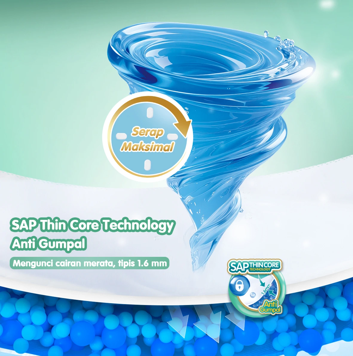 Teknologi SAP Thin Core